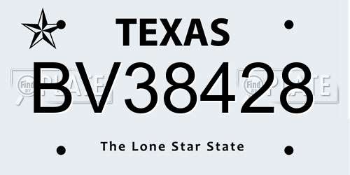BV38428 Texas License Plate