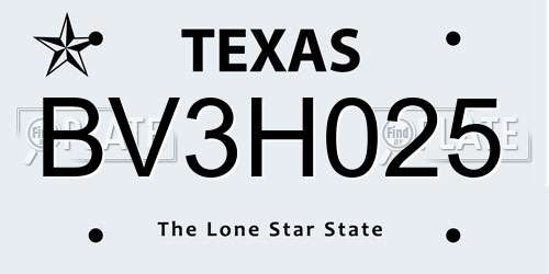BV3H025 Texas License Plate