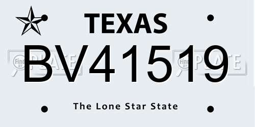 BV41519 Texas License Plate
