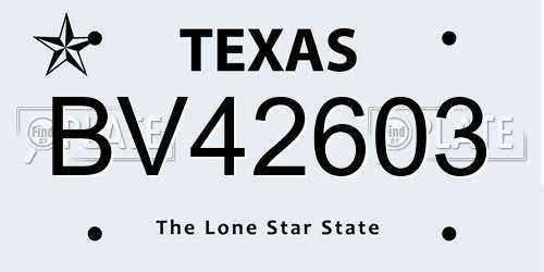 BV42603 Texas License Plate