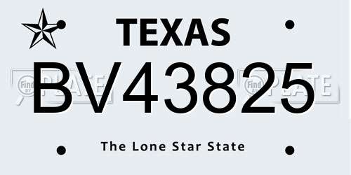 BV43825 Texas License Plate