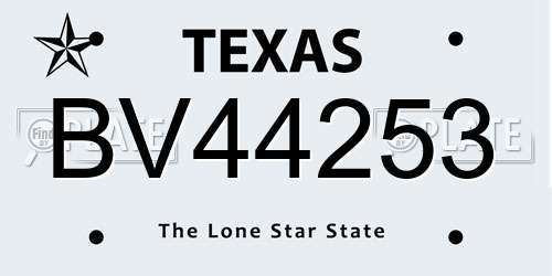 BV44253 Texas License Plate