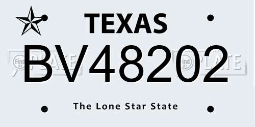 BV48202 Texas License Plate