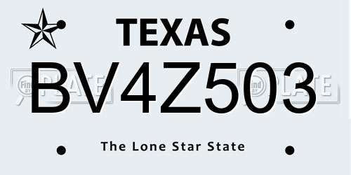 BV4Z503 Texas License Plate