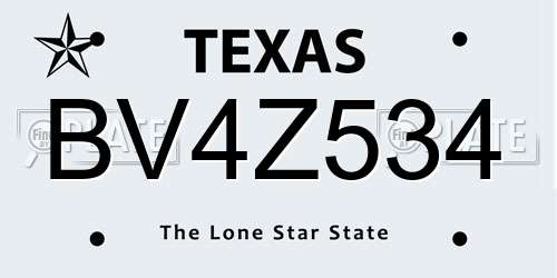 BV4Z534 Texas License Plate