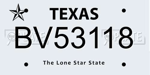 BV53118 Texas License Plate
