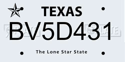 BV5D431 Texas License Plate