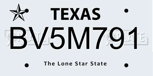 BV5M791 Texas License Plate