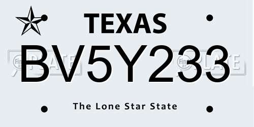 BV5Y233 Texas License Plate