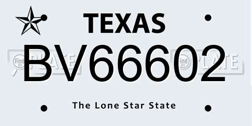 BV66602 Texas License Plate