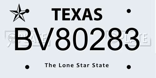 BV80283 Texas License Plate