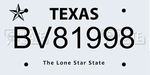 BV81998 Texas License Plate