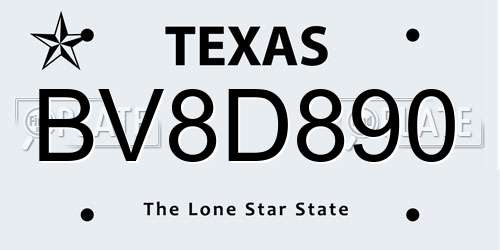 BV8D890 Texas License Plate