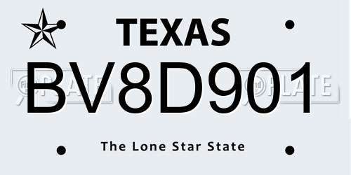BV8D901 Texas License Plate