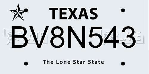 BV8N543 Texas License Plate