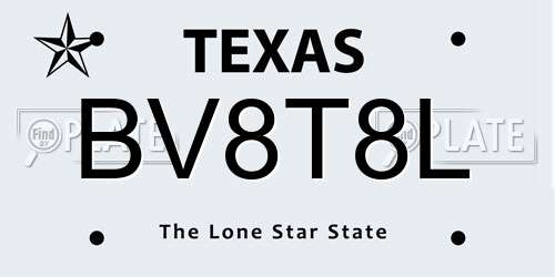 BV8T8L Texas License Plate