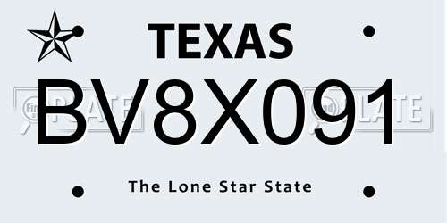 BV8X091 Texas License Plate