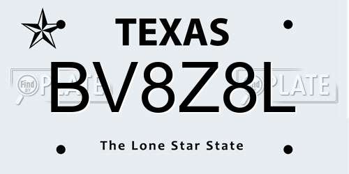 BV8Z8L Texas License Plate