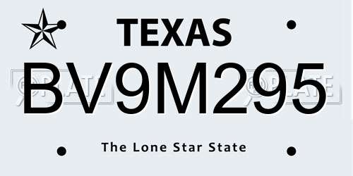 BV9M295 Texas License Plate
