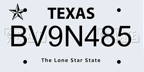 BV9N485 Texas License Plate