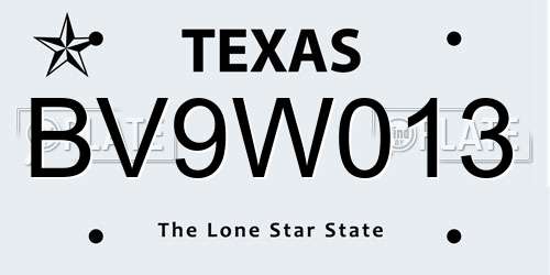 BV9W013 Texas License Plate