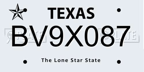 BV9X087 Texas License Plate