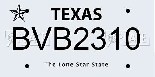 BVB2310 Texas License Plate