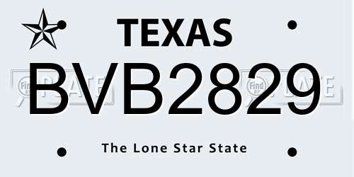 BVB2829 Texas License Plate