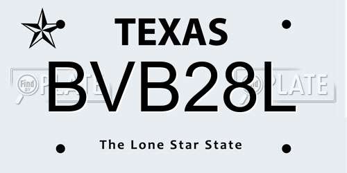 BVB28L Texas License Plate