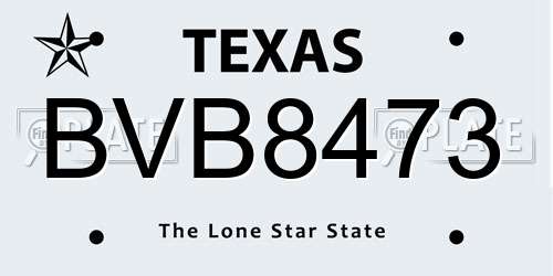 BVB8473 Texas License Plate