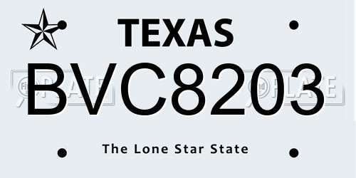 BVC8203 Texas License Plate