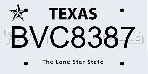 BVC8387 Texas License Plate