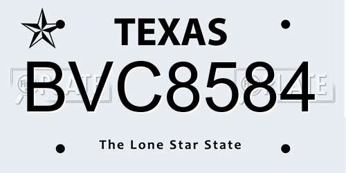 BVC8584 Texas License Plate