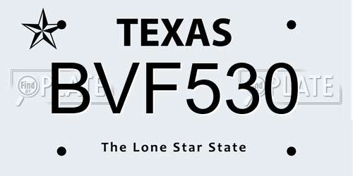 BVF530 Texas License Plate