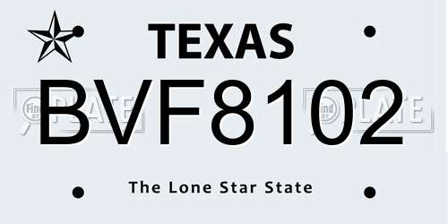 BVF8102 Texas License Plate