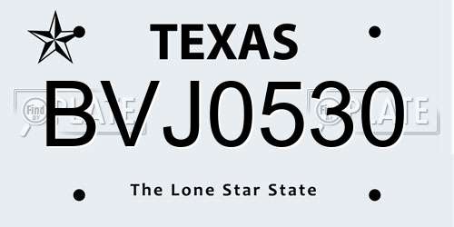 BVJ0530 Texas License Plate