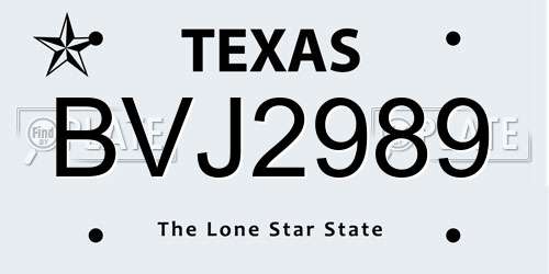 BVJ2989 Texas License Plate