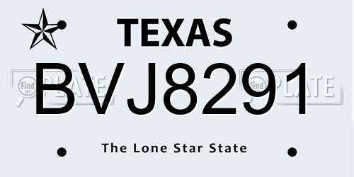 BVJ8291 Texas License Plate