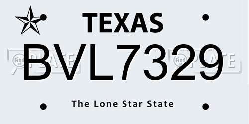 BVL7329 Texas License Plate