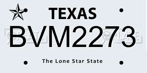 BVM2273 Texas License Plate