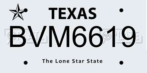 BVM6619 Texas License Plate