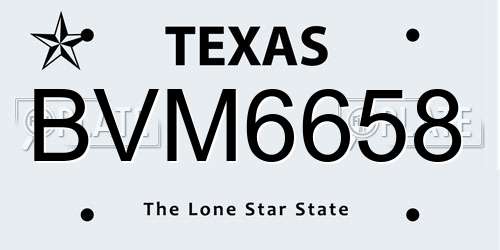BVM6658 Texas License Plate