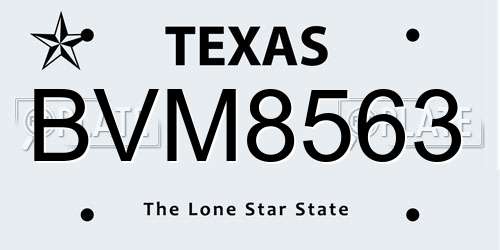 BVM8563 Texas License Plate