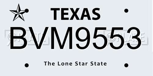 BVM9553 Texas License Plate