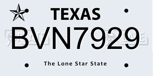 BVN7929 Texas License Plate