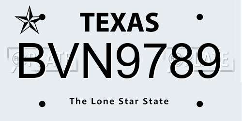BVN9789 Texas License Plate