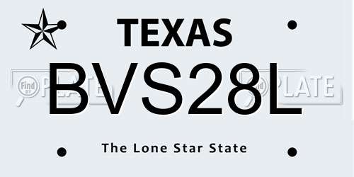 BVS28L Texas License Plate