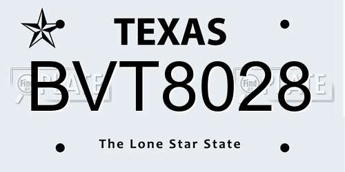 BVT8028 Texas License Plate
