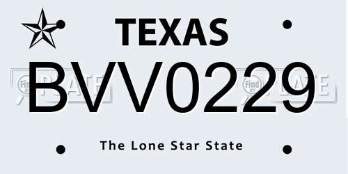 BVV0229 Texas License Plate