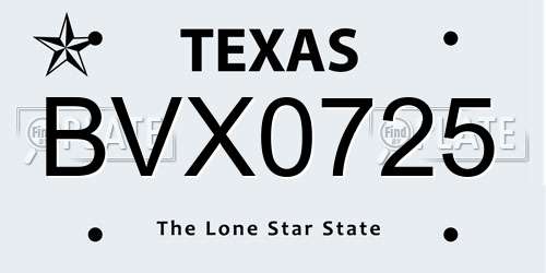 BVX0725 Texas License Plate